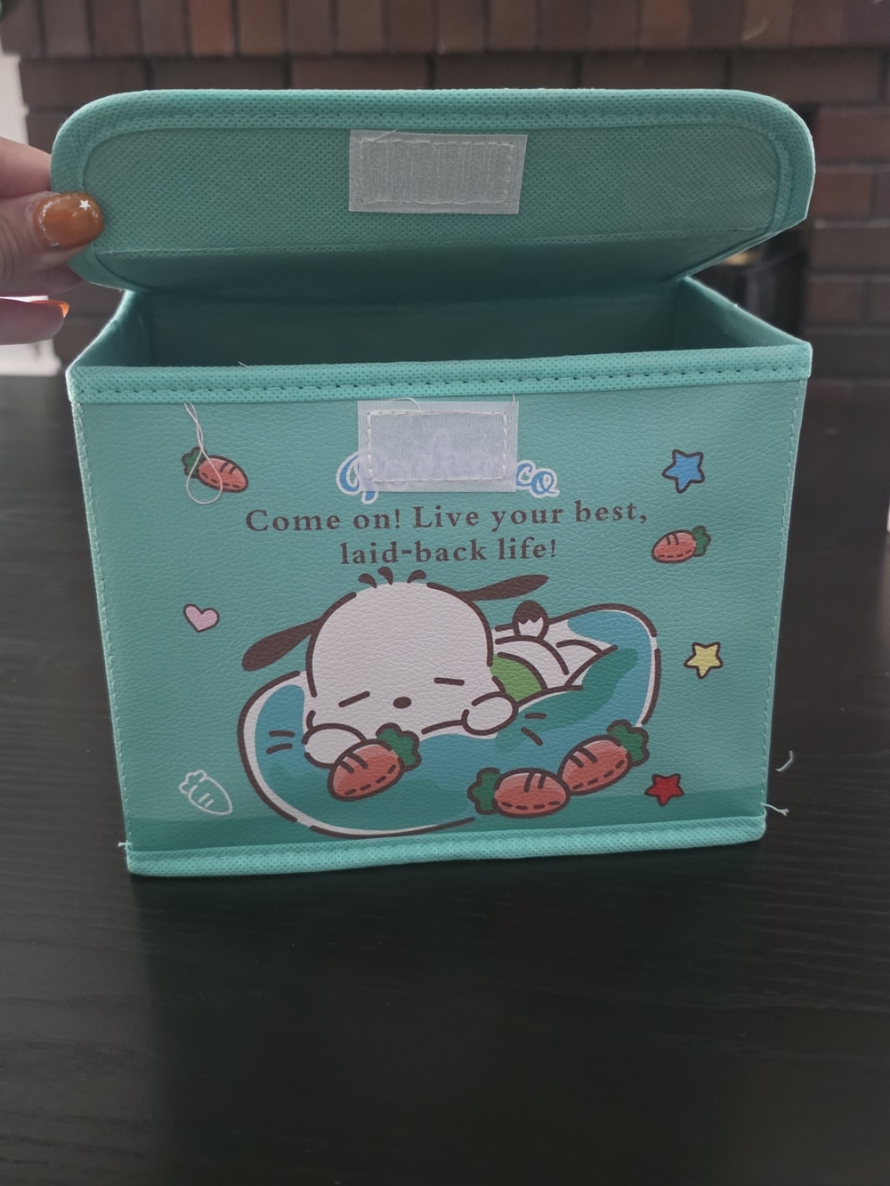 Sanrio Poccacho Storage Container - Picture 3 of 4